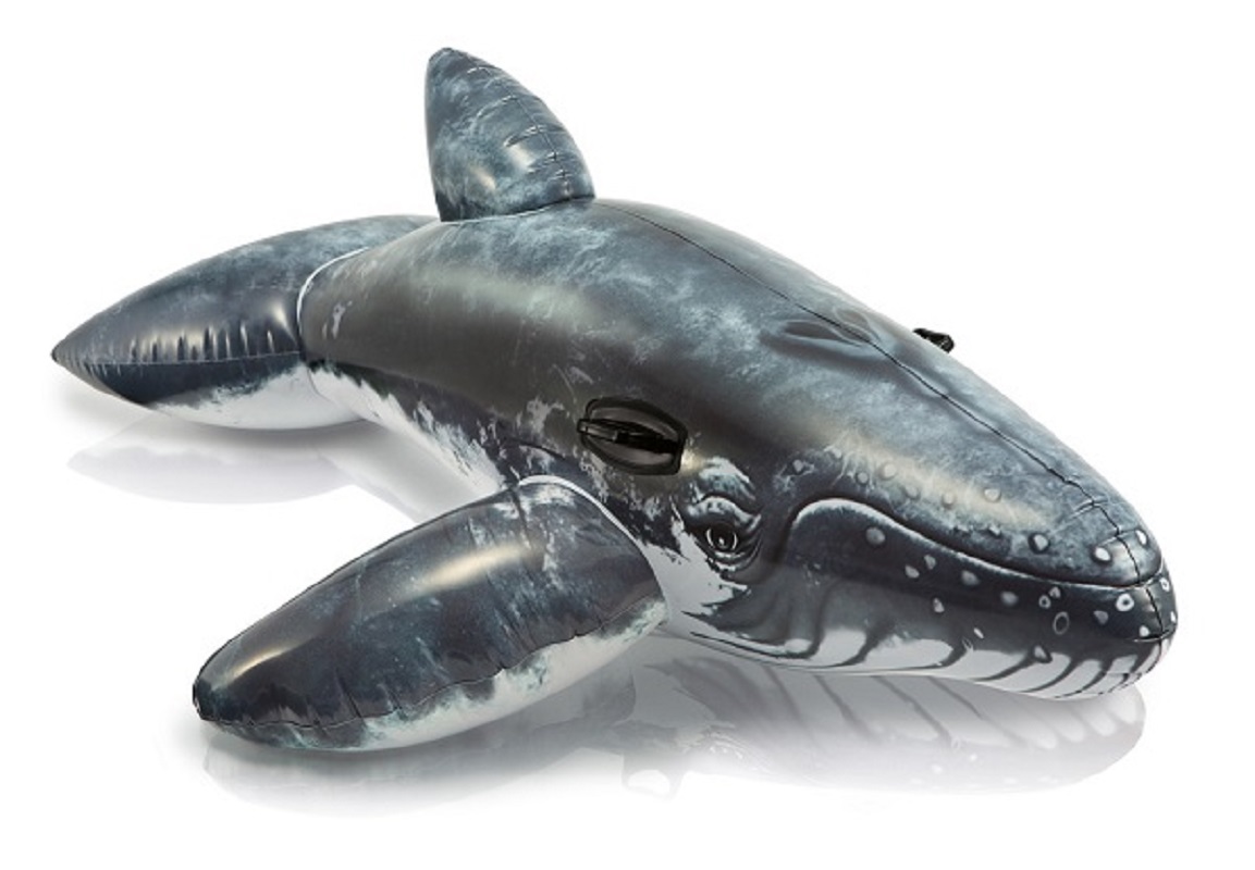 INTEX Realistic Whale Ride-On 