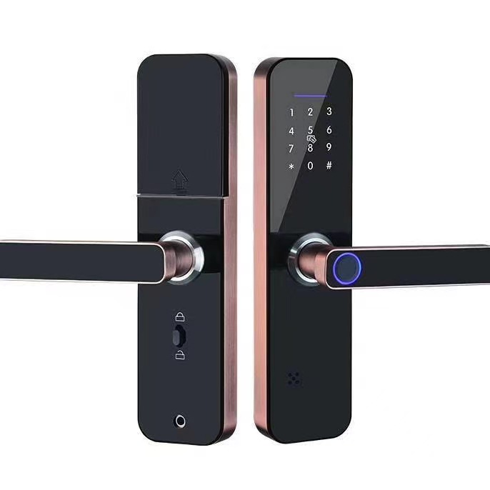 Electronic Smart Door Lock With TTLock App,Security Biometric Fingerprint Intelligent Lock With Passcode RFID