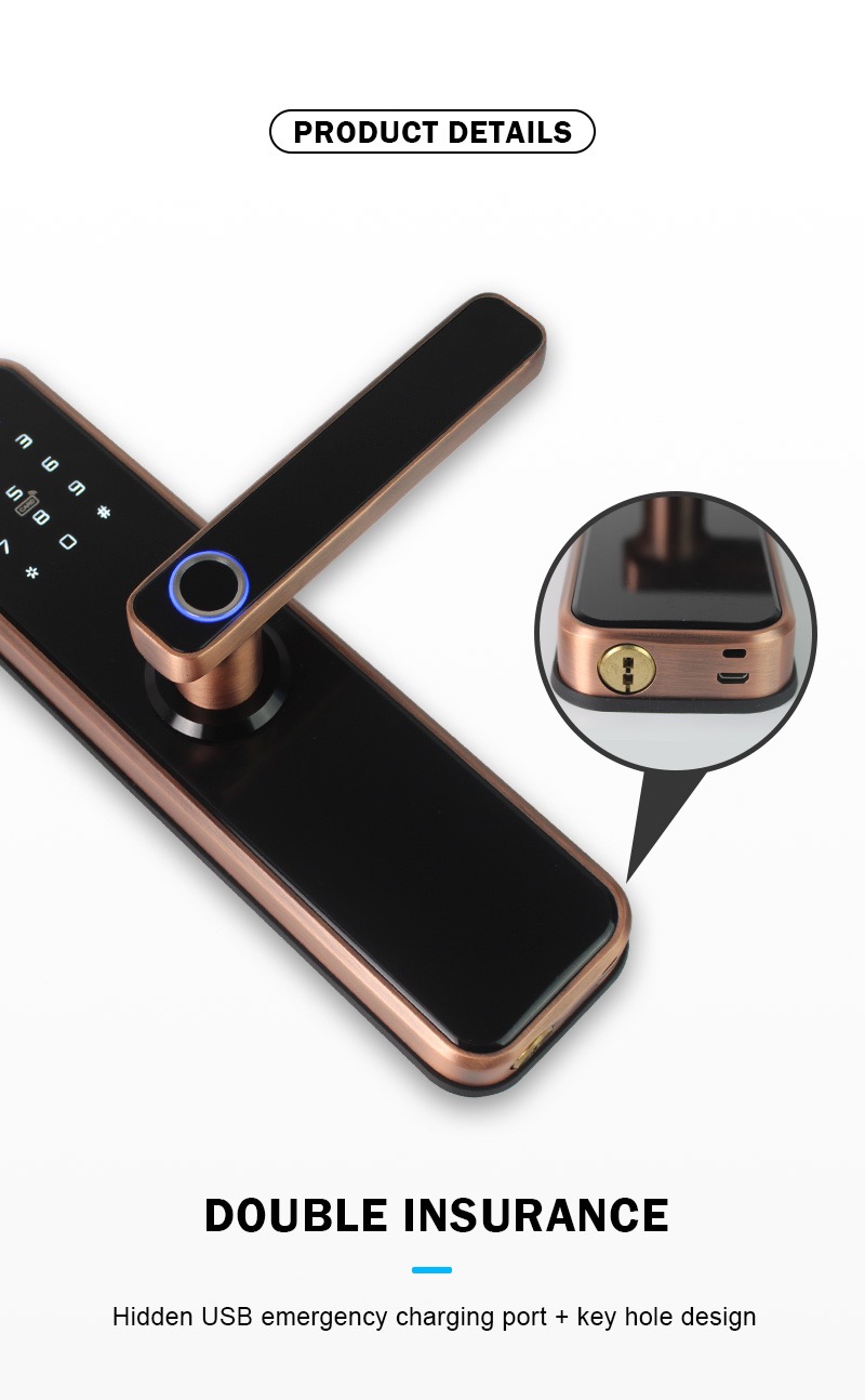 Electronic Smart Door Lock With TTLock App,Security Biometric Fingerprint Intelligent Lock With Passcode RFID