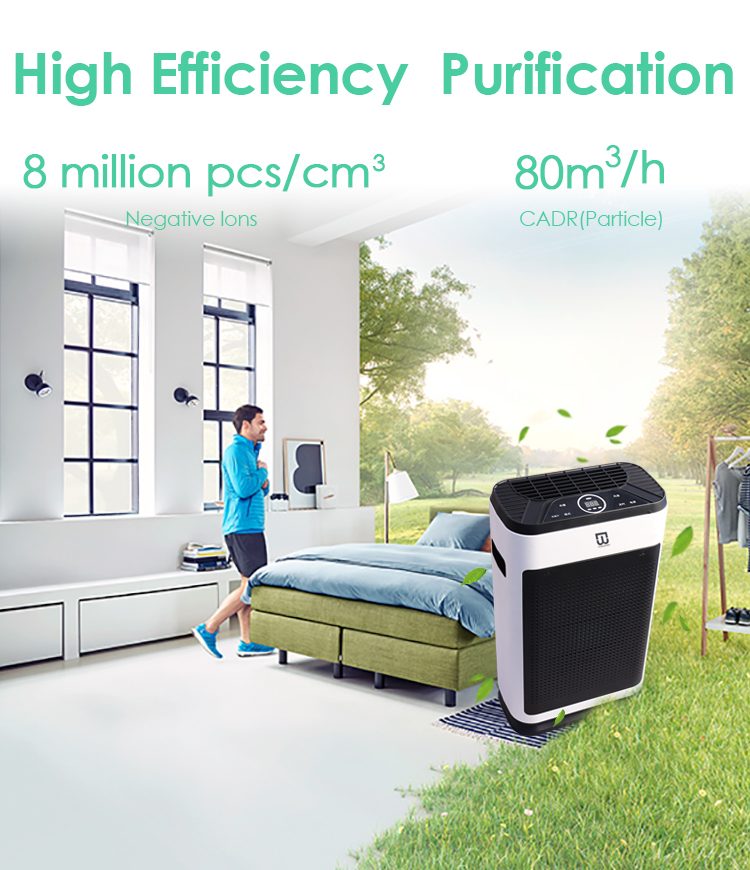 Negative Ion Portable Air Purifier Sterilization Removal of Formaldehyde Haze PM2.5 Air Purifier