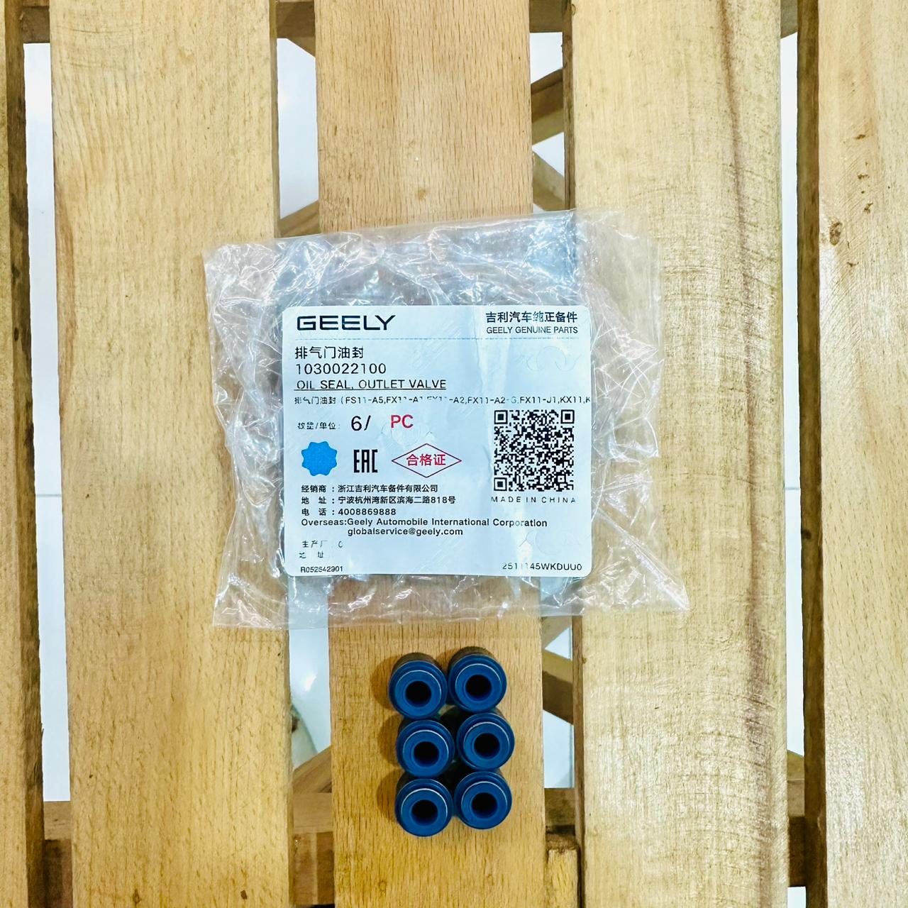 Proton X70 Oil Seal Outlet Valve 1030022100