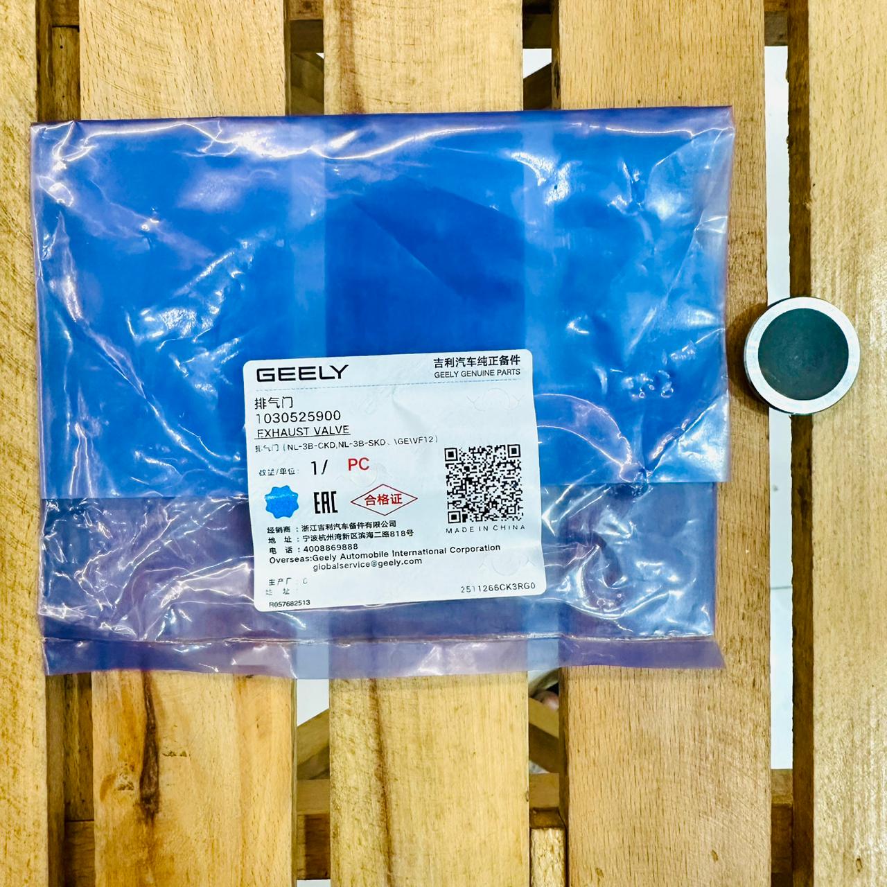 Proton X70 Intake Valve 1030021800